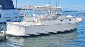 MAINSHIP PILOT 34