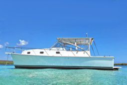 MAINSHIP PILOT 34