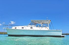 MAINSHIP PILOT 34