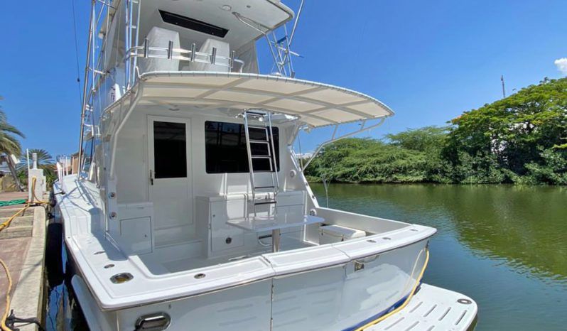 
								HATTERAS CONVERTIBLE 50 full									