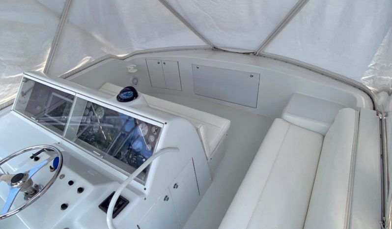 
								HATTERAS CONVERTIBLE 50 full									