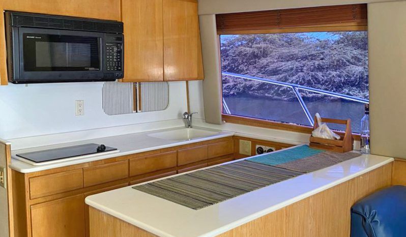 
								HATTERAS CONVERTIBLE 50 full									