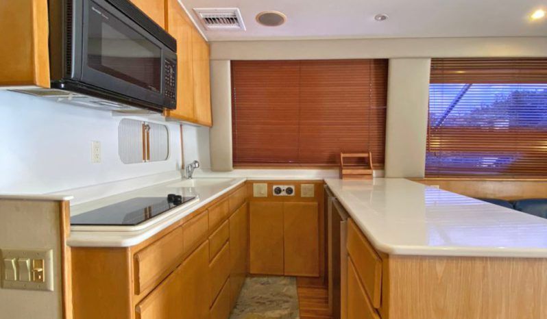 
								HATTERAS CONVERTIBLE 50 full									