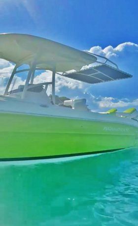 PROMARINE 24