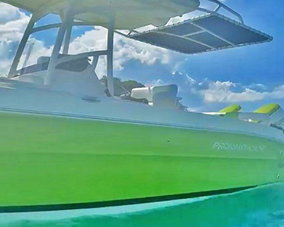 
								PROMARINE 24 full									