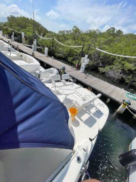 SEA RAY SEDAN BRIDGE 52