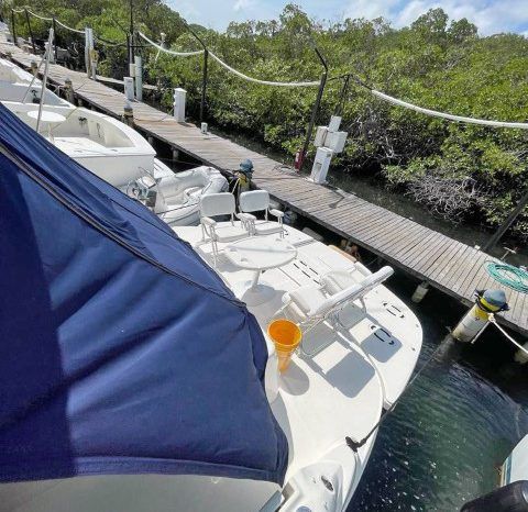 
								SEA RAY SEDAN BRIDGE 52 full									