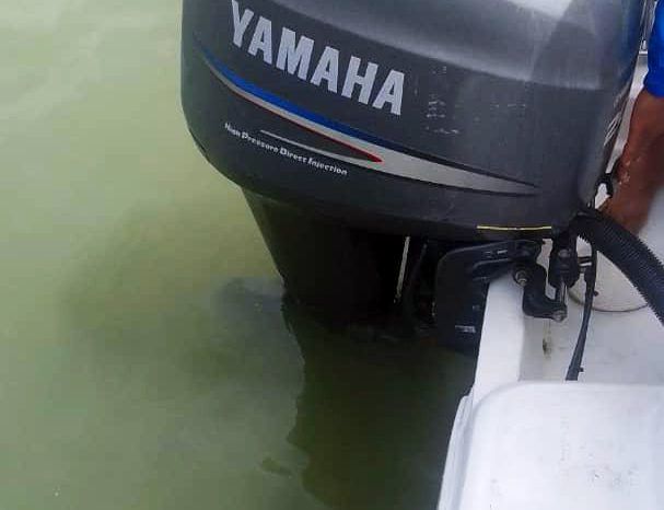 
								INTERMARINE SUPER SPORT 19 full									