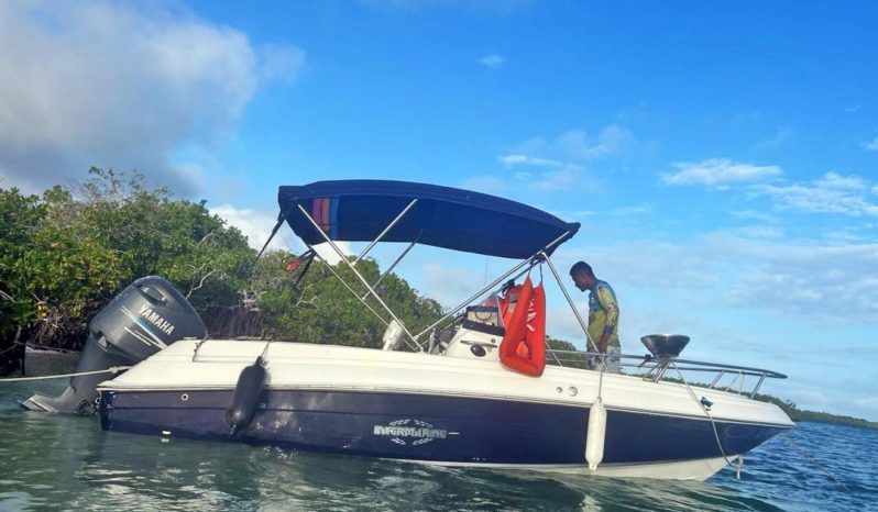 
								INTERMARINE SUPER SPORT 19 full									