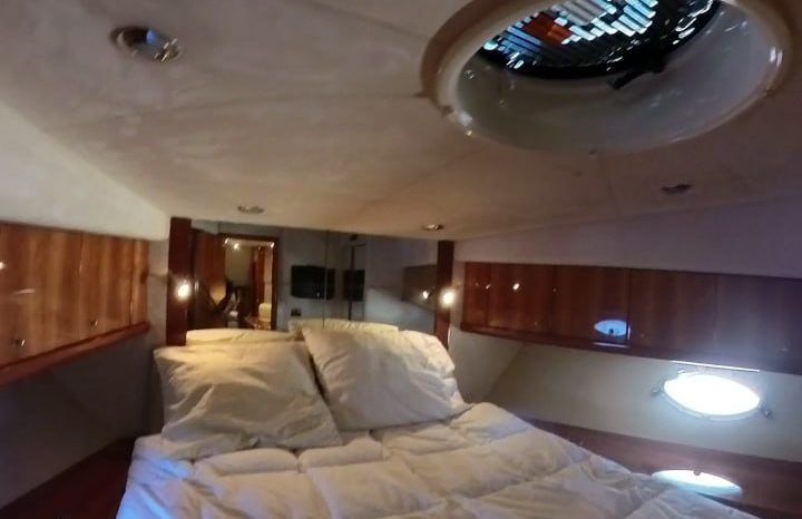 
								SUNSEEKER PREDATOR 62 full									