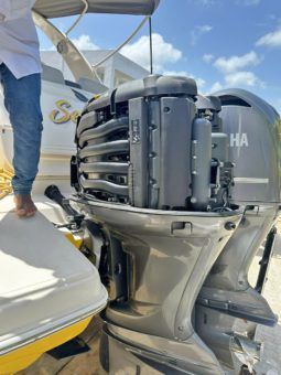 
										PAREJA MOTORES YAMAHA 350HP full									