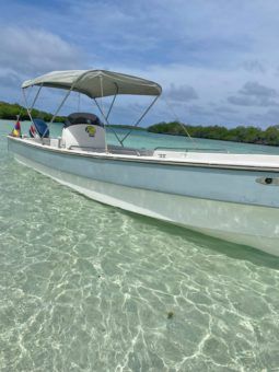 PEÑERO RUBHER MARINE 24