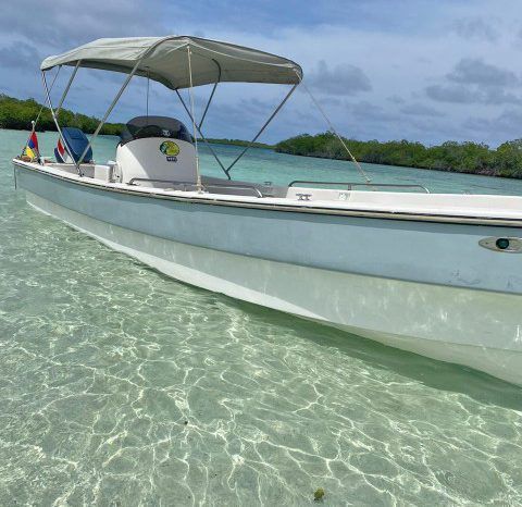 PEÑERO RUBHER MARINE 24 full