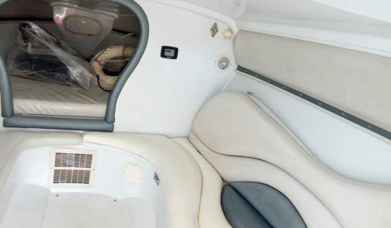 
								PROMARINE SPORT 1000SS 33 full									