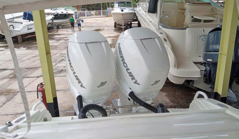 
								PROMARINE SPORT 1000SS 33 full									