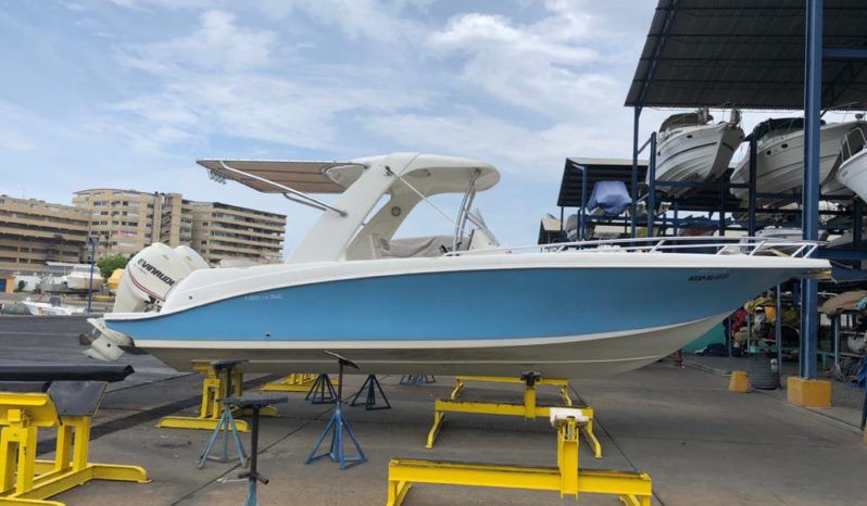 
								CORALINE OPEN 30 full									