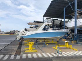 CORALINE OPEN 30