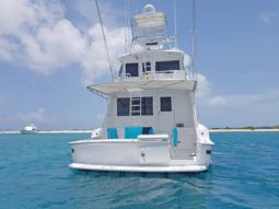 
										HATTERAS SPORT FISHERMAN 65 full									