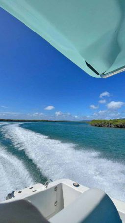 
										AQUANAUTI OPEN 21 full									