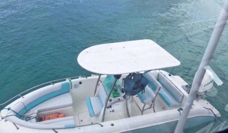 
								AQUANAUTI OPEN 21 full									