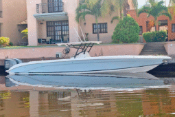 
										BARRACUDA OPEN 36 full									