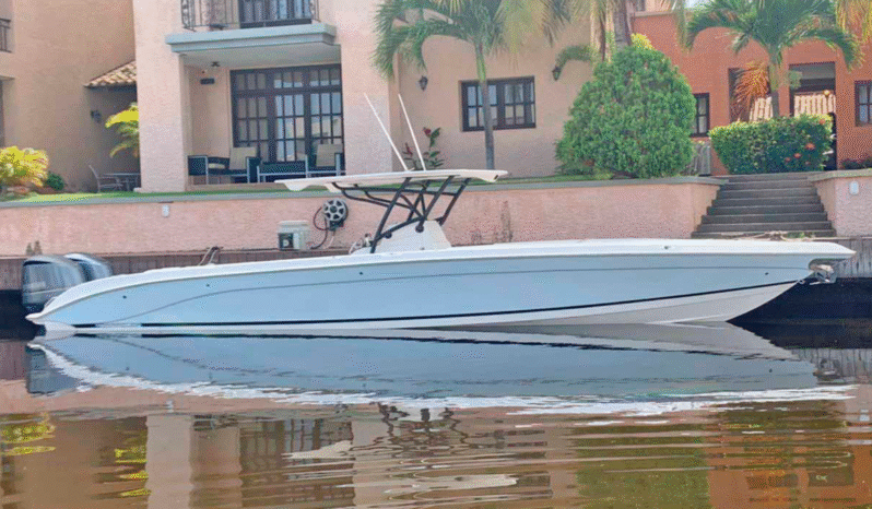 
								BARRACUDA OPEN 36 full									