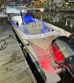 
										BARRACUDA OPEN 36 full									
