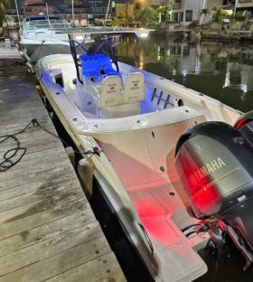 BARRACUDA OPEN 36