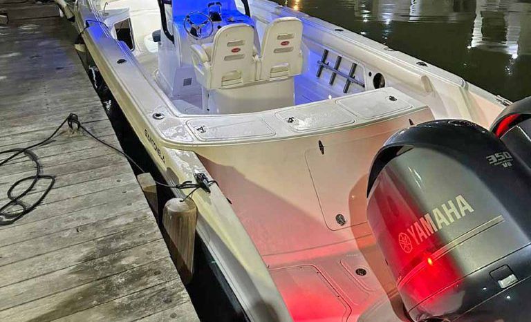 
								BARRACUDA OPEN 36 full									