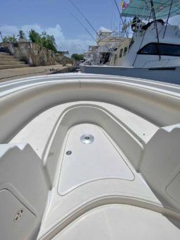
										BARRACUDA OPEN 36 full									