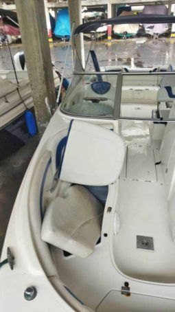 
										BAYLINER 249 full									
