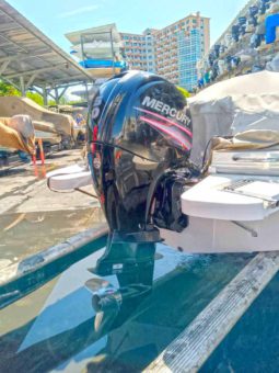 BAYLINER OPENDECK 19.5