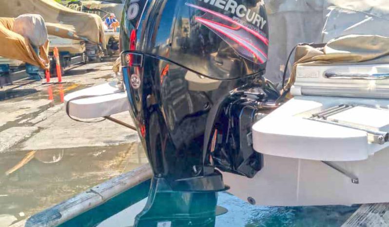 
								BAYLINER OPENDECK 19.5 full									
