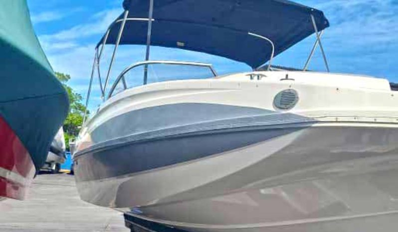 
								BAYLINER OPENDECK 19.5 full									