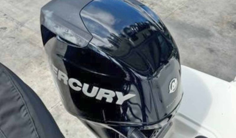 
								BLACKFIN 272CC 27 full									