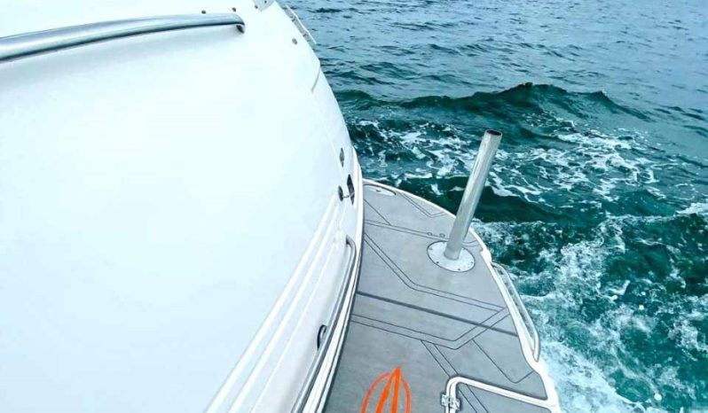 
								CHAPARRAL SIGNATURE 37 full									