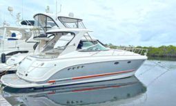 CHAPARRAL SIGNATURE 350 37