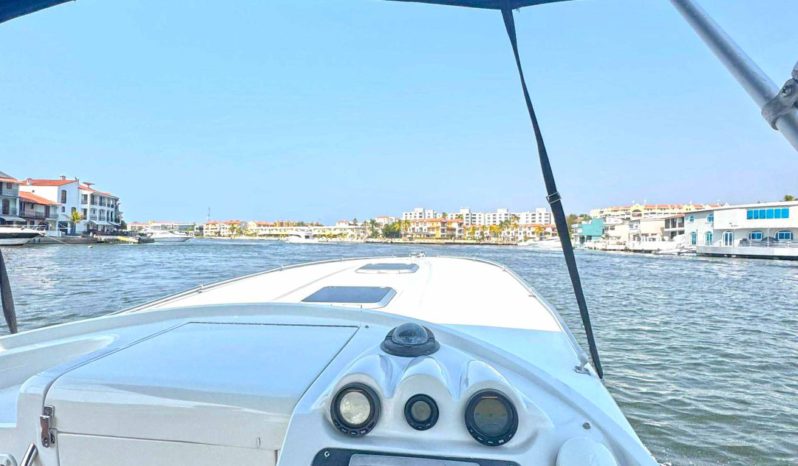 
								COMMANDER MILLENIUM 32.5 full									