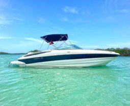 CROWNLINE 260EX 26