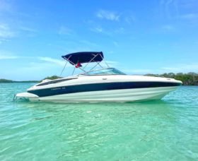 CROWNLINE 260EX 26
