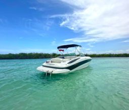 CROWNLINE 260EX 26
