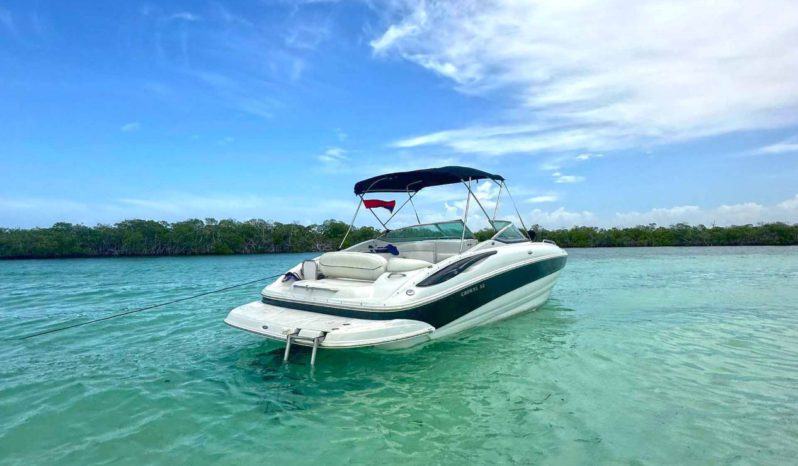 
								CROWNLINE 260EX 26 full									