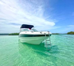 CROWNLINE 260EX 26