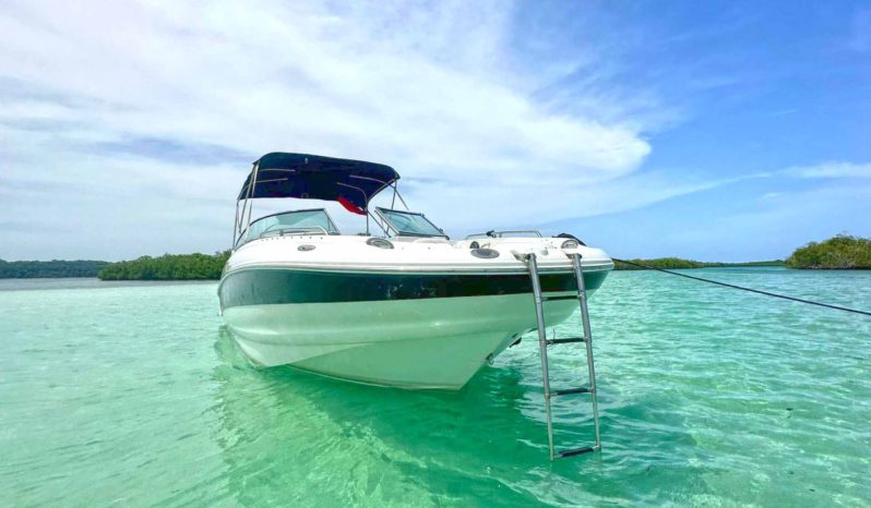 
								CROWNLINE 260EX 26 full									
