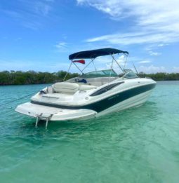 CROWNLINE 260EX 26