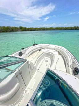 CROWNLINE 260EX 26