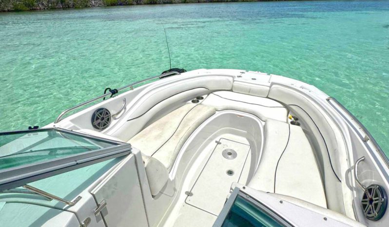 
								CROWNLINE 260EX 26 full									