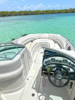 
										CROWNLINE 260EX 26 full									