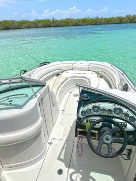CROWNLINE 260EX 26