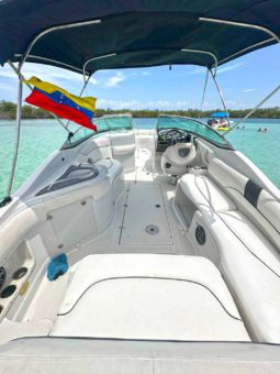 
										CROWNLINE 260EX 26 full									